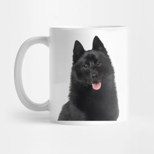 Schipperke Dog Mug